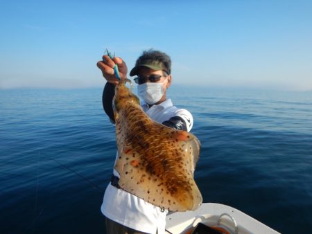 きずなまりん 釣果