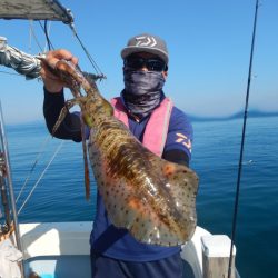 きずなまりん 釣果