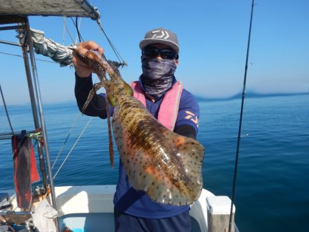 きずなまりん 釣果