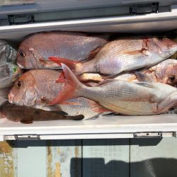 フィッシング　キッタカ 釣果