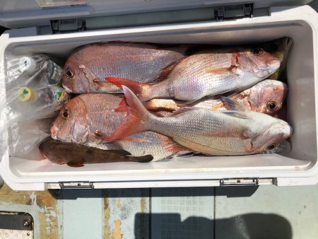 フィッシング　キッタカ 釣果