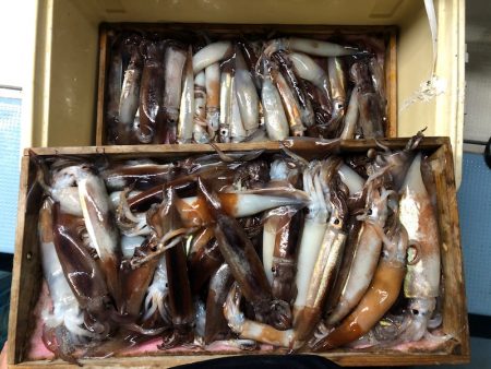 第二八坂丸 釣果