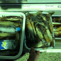 第二八坂丸 釣果