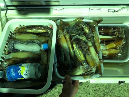 第二八坂丸 釣果