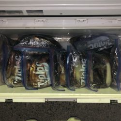 第二八坂丸 釣果