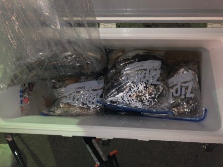 第二八坂丸 釣果