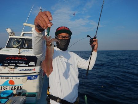 きずなまりん 釣果
