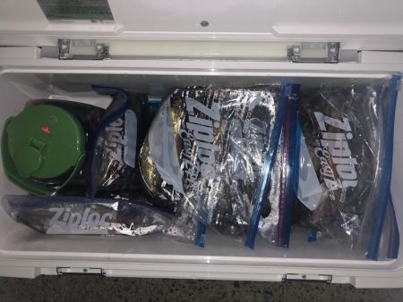 第二八坂丸 釣果