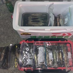 第二八坂丸 釣果