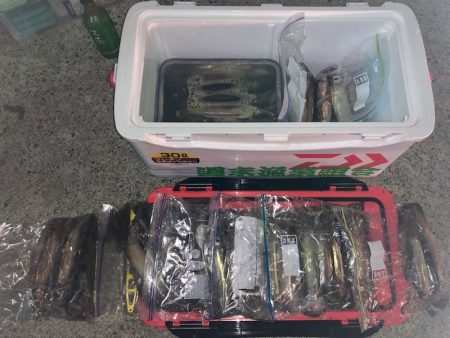 第二八坂丸 釣果