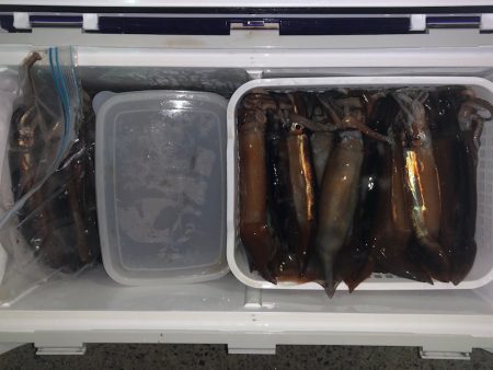 第二八坂丸 釣果