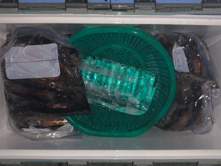 第二八坂丸 釣果