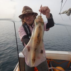 きずなまりん 釣果