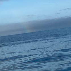 末広丸(熊本) 釣果