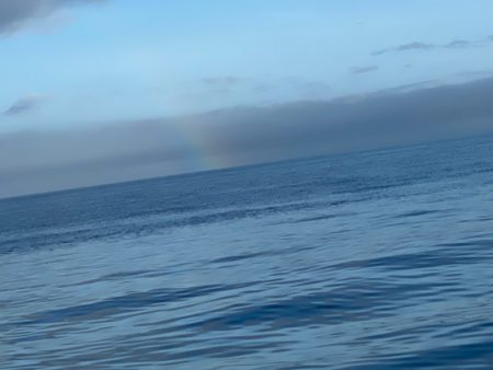 末広丸(熊本) 釣果