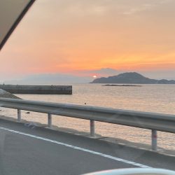 末広丸(熊本) 釣果