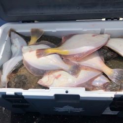 第二 つれたか丸 釣果