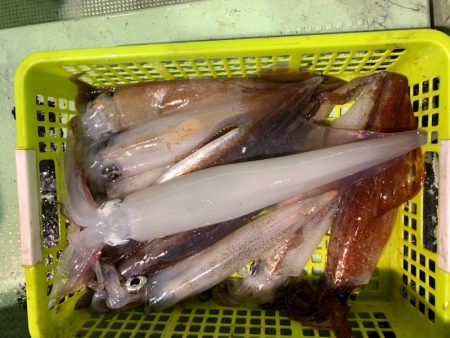 海龍丸（石川） 釣果