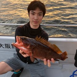 Chase(チェイス) 釣果