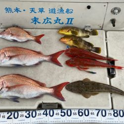 末広丸(熊本) 釣果