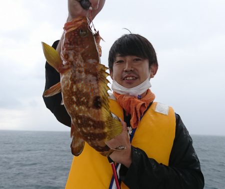 遊漁船 家入 釣果