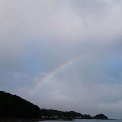 遊漁船 家入 釣果