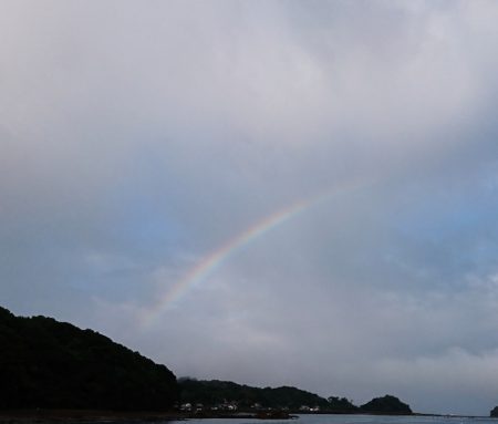 遊漁船 家入 釣果