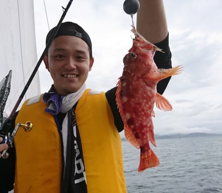 遊漁船 家入 釣果