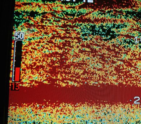 シースナイパー海龍 釣果