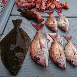 遊漁船 家入 釣果