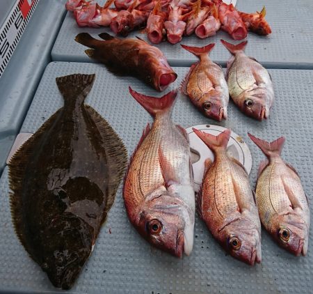 遊漁船 家入 釣果