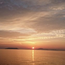 遊漁船 家入 釣果