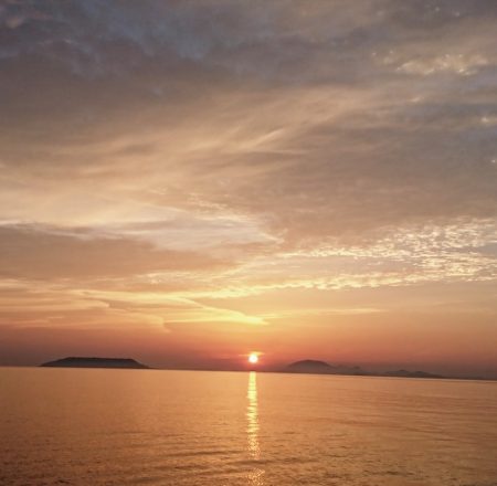 遊漁船 家入 釣果