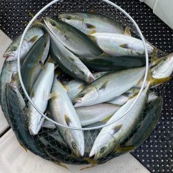 釣人家 釣果