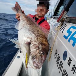 シーライオン 釣果