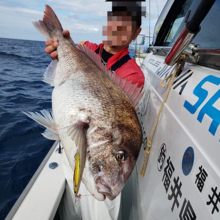 シーライオン 釣果