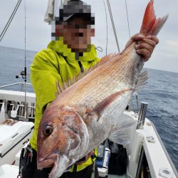 シーライオン 釣果