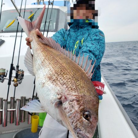 シーライオン 釣果