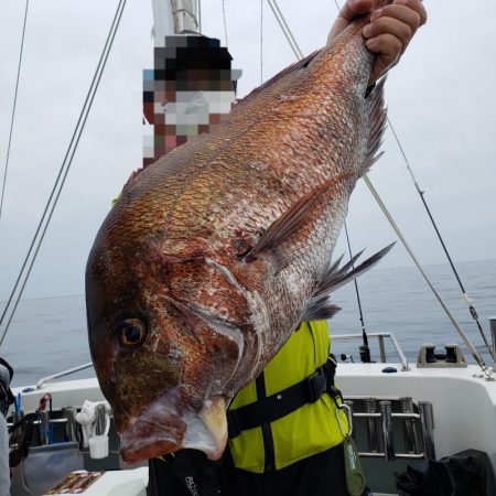 シーライオン 釣果