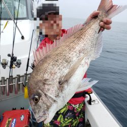 シーライオン 釣果