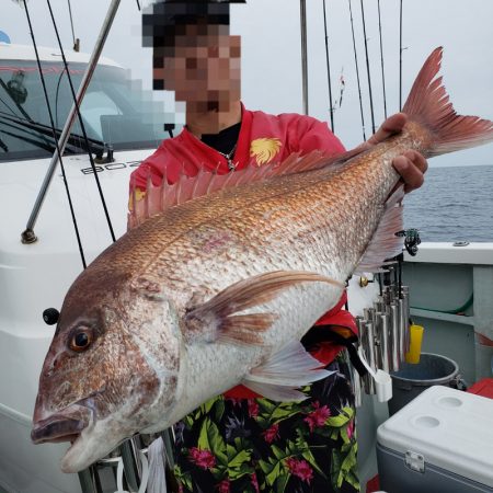 シーライオン 釣果