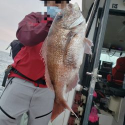 シーライオン 釣果