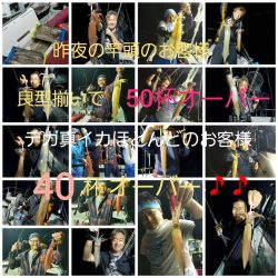 シーライオン 釣果