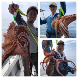 ビッグファイター 釣果