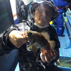 ヤザワ渡船 釣果