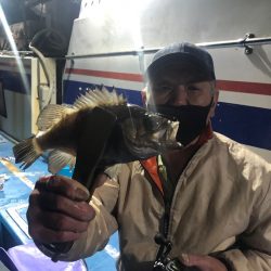 ヤザワ渡船 釣果