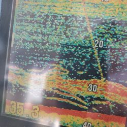 サンマリン 釣果