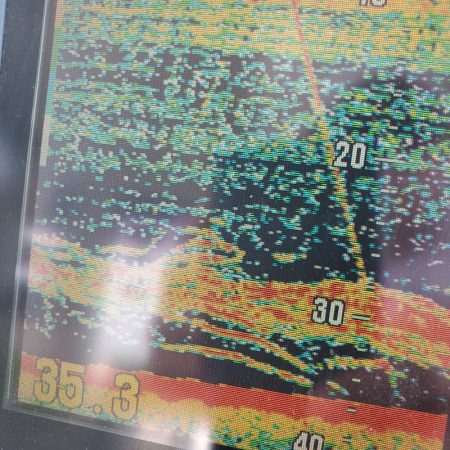 サンマリン 釣果