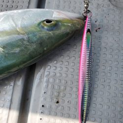 サンマリン 釣果