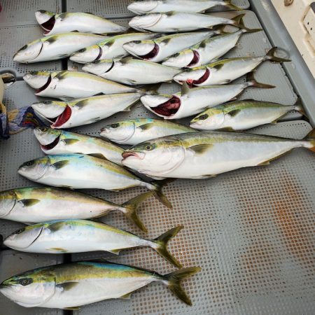 サンマリン 釣果